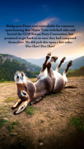 A small white dog sitting on top of a bed.