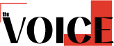 Voice LLC logo