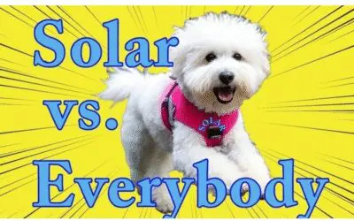 Is this how we treat our heroes?