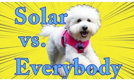 Is this how we treat our heroes?