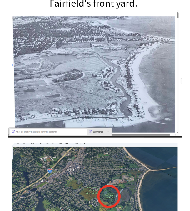 Crisis in the Flood Zone: When You Try to Fool Mother Nature